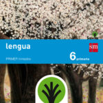 Portada del producto:  SD Alumno. Lengua. 6 Primaria. Savia