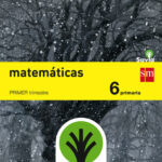 Portada del producto:  SD Alumno. Matemáticas. 6 Primaria. Savia