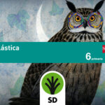 Portada del producto:  SD Alumno. Plástica. 6 Primaria. Savia