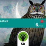 Portada del producto:  SD Alumno. Plástica. 6 Primaria. Celme