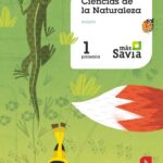 Portada del producto:  SD Alumno. Ciencias de la naturaleza. 1 Primaria. Más Savia.