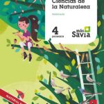 Portada del producto:  SD Alumno. Ciencias de la Naturaleza. 4 Primaria +  Key Concepts. Más Savia. Andalucía