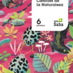 Portada del producto:  SD Alumno. Ciències de la naturalesa. 6 Primária. Més Saba