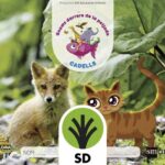 Portada del producto:  SD Alumno. Cadells. (Gnomos darrere de la petjada Nivell 1). Explora