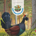 Portada del producto:  SD Alumno. SOS Animales en peligro. (Nivel 1). Explora