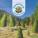 Portada del producto:  SD Alumno. Parques naturales pulmones del mundo (Nivel 2). Explora