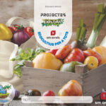 Portada del producto:  DA. Ecocultius per a tots. 4 anys. Explora cicle
