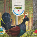 Portada del producto:  DA. Animales en perill.3 anys. Explora cicle