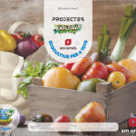 Portada del producto:  DA. Ecocultius per a tots. 5 anys. Explora cicle