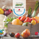 Portada del producto:  DA. Ekobaratzeak guztiontzat. 4 urte. Esploratzaile